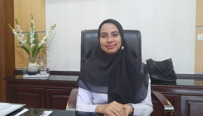DP3A Aceh Kawal Pendampingan Korban Kekerasan Anak Aceh Timur