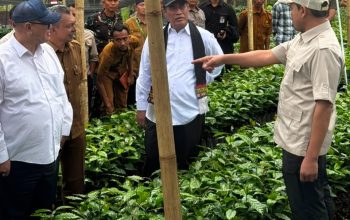 Wagub Aceh Apresiasi Dukungan Prabowo Kembangkan Kopi Gayo Nasional