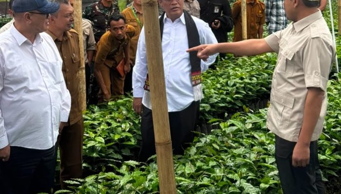 Wagub Aceh Apresiasi Dukungan Prabowo Kembangkan Kopi Gayo Nasional