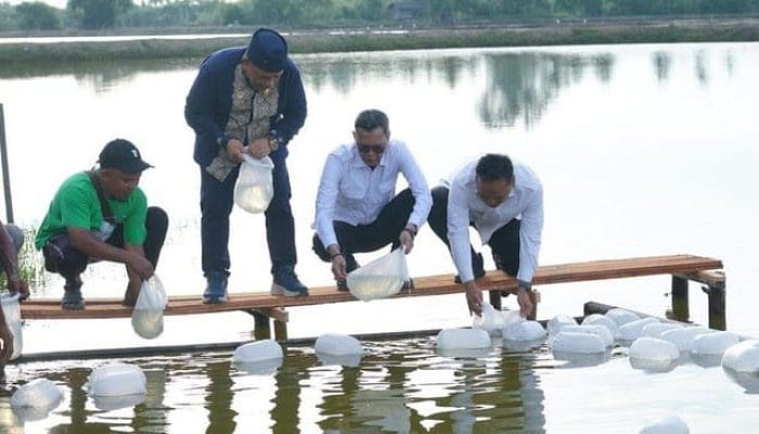 Rehabilitasi Pertanian Dorong Pertumbuhan Ekonomi Aceh Meningkat Pesat