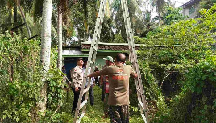 Pria di Aceh Besar Tewas Terjatuh Saat Memetik Kelapa