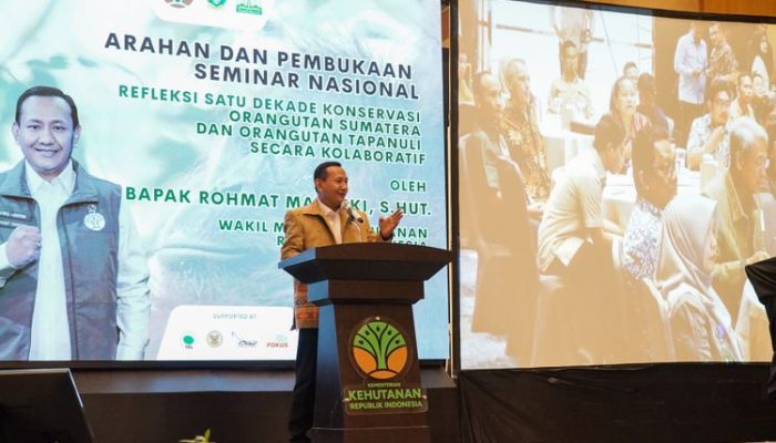 Populasi Orangutan Sumatera Menurun, Tapanuli Tetap Sangat Rentan Terancam