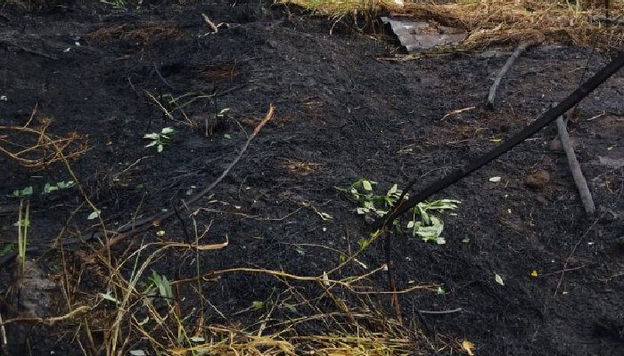 BPBD Bener Meriah Gerak Cepat Padamkan Lahan Terbakar
