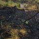 BPBD Bener Meriah Gerak Cepat Padamkan Lahan Terbakar
