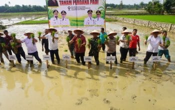 Pemerintah Aceh Jelaskan Penyaluran Bantuan Kementan