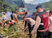 Pohon Tumbang Lumpuhkan Jalan Nasional Tapaktuan-Blangpidie