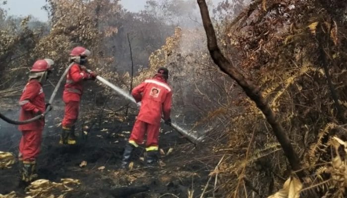 180 Hotspot Terdeteksi di Kalsel, Warga Diminta Waspada