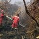 180 Hotspot Terdeteksi di Kalsel, Warga Diminta Waspada