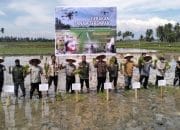 Aceh Utara Kejar Target Tanam Padi 30.067 Hektare