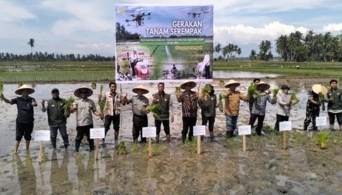 Aceh Utara Kejar Target Tanam Padi 30.067 Hektare
