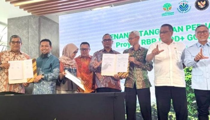 Apresiasi Dunia Perkuat Komitmen Aceh Melindungi Hutan