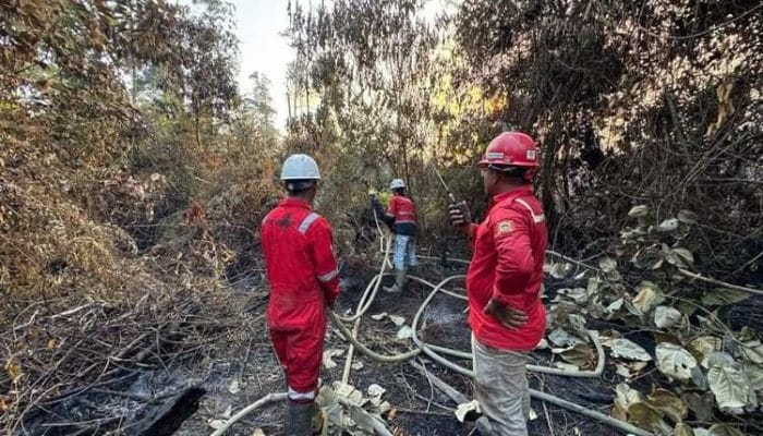 Kemenhut Tindak Enam Perusahaan Terkait Karhutla