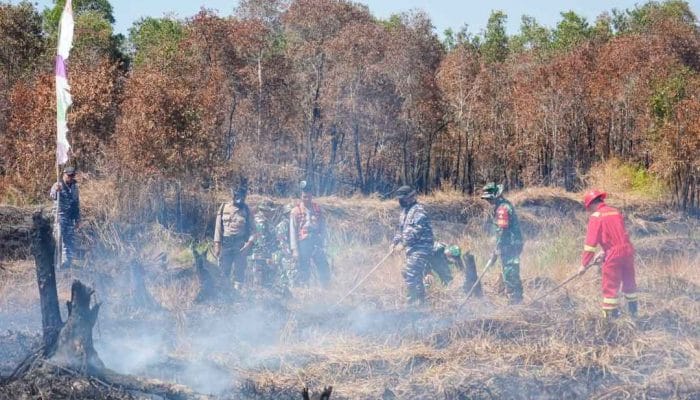 Menko Polkam Optimis Karhutla Kalimantan Segera Terkendali