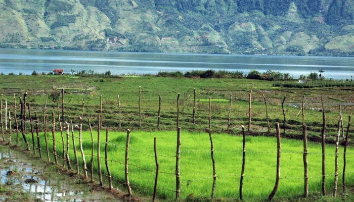 Transparansi Anggaran Kementan Rp2,5 Triliun
