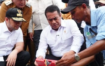 Kementan Tangani Kekeringan, 3.233 Hektare Sawah Lamongan