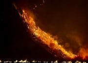 Puan Desak Pemerintah Segera Tuntaskan Karhutla Bromo