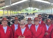 Kementan Perkuat Peternakan Menuju Swasembada Protein