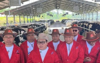 Kementan Perkuat Peternakan Menuju Swasembada Protein