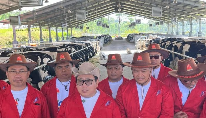 Kementan Perkuat Peternakan Menuju Swasembada Protein
