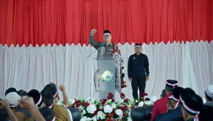 Apel Kebangsaan, Tagore Serukan Persatuan dan Perdamaian