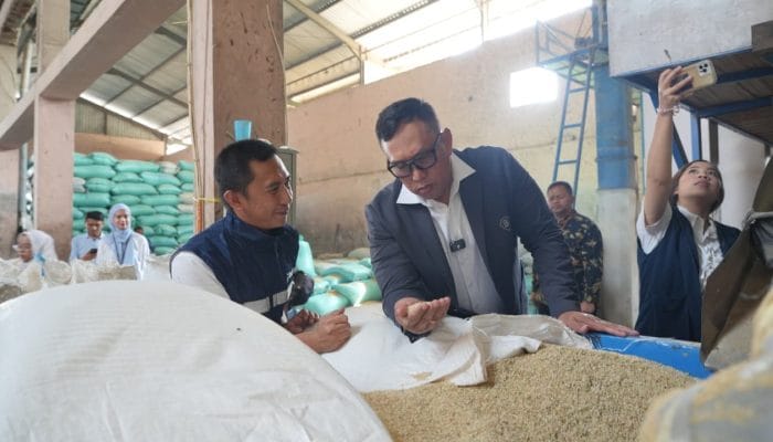 Dirut BULOG Perkuat Sinergi dengan Penggilingan Jaga Mutu Beras Nasional