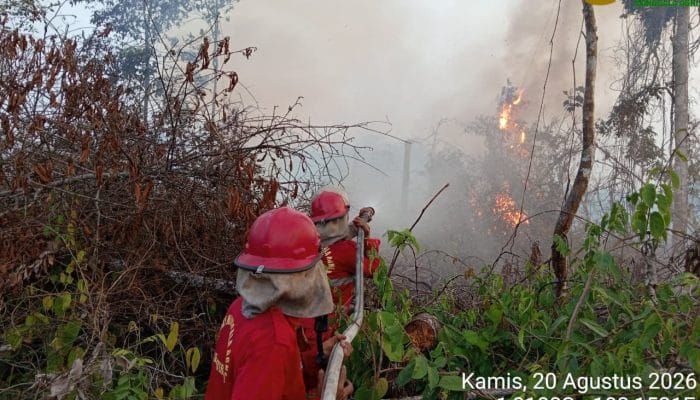 52 Armada Udara Dikerahkan Tangani Karhutla Sumatra-Kalimantan