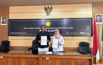Rehabilitasi 2.623 Hektare Sawah Aceh Dimulai Melalui SID