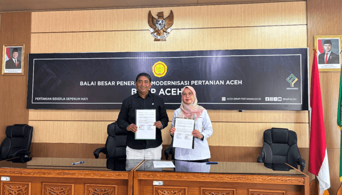 Rehabilitasi 2.623 Hektare Sawah Aceh Dimulai Melalui SID
