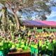 Mahasiswa Unimal Edukasi Antiperundungan di MIN 24 Aceh Utara