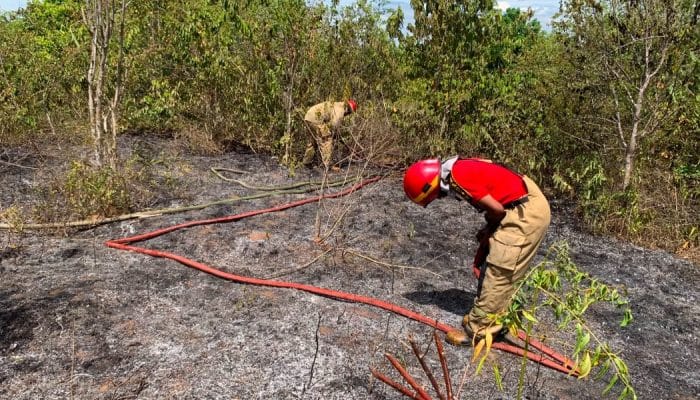 Karhutla Hanguskan Tiga Hektare Lahan di Aceh Besar