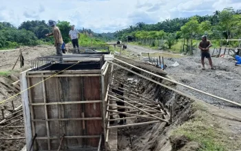 Jembatan Perintis 150 Meter Buka Akses Kebun Warga