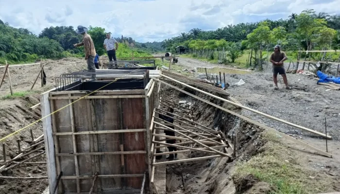 Jembatan Perintis 150 Meter Buka Akses Kebun Warga