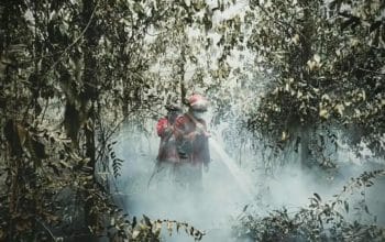 Hotspot Karhutla Turun, Kalimantan Tengah Masih Tertinggi