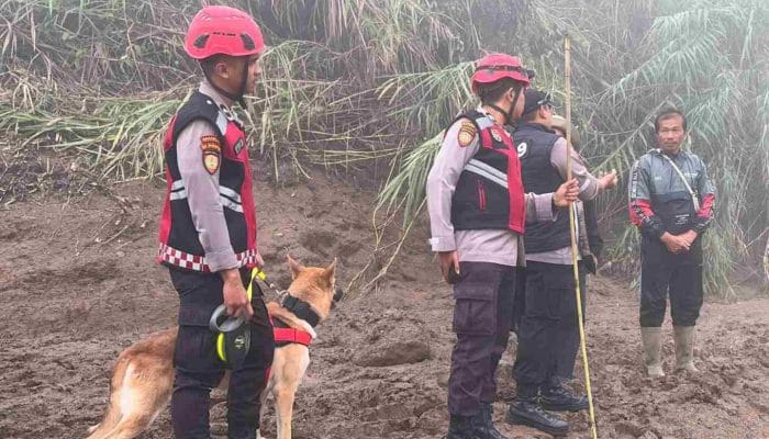 Polda Sumbar Kerahkan K9 Cari Korban Air Bah di Solok