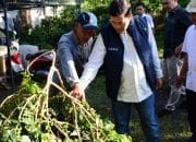 Haili Yoga Dorong Produktivitas dan Kebangkitan Kopi Gayo