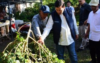 Haili Yoga Dorong Produktivitas dan Kebangkitan Kopi Gayo