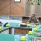 Pemprov Aceh dan KPIA Perkuat Pengawasan Penyiaran Digital