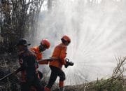 DPR Desak Badan Khusus Tangani Karhutla Nasional