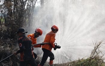 DPR Desak Badan Khusus Tangani Karhutla Nasional
