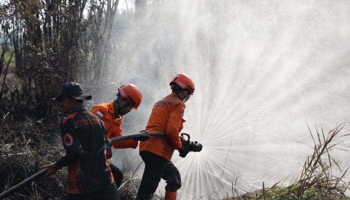 DPR Desak Badan Khusus Tangani Karhutla Nasional