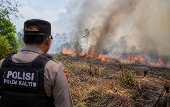 Polda Kaltim Tetapkan 16 Tersangka dalam 47 Kasus Karhutla