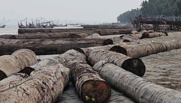 Kemenhut Telusuri 697 Kayu Log yang Hanyut ke Sumenep