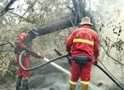 Personel gabungan sedang memadamkan kebakaran hutan dan lahan (karhutla). (Foto: Dok. Biro Humas Kemenhut)