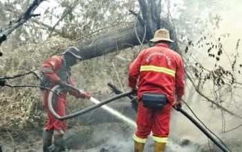 Kemenhut Perkuat Pengendalian Karhutla di Kalimantan