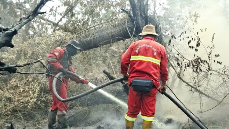 Personel gabungan sedang memadamkan kebakaran hutan dan lahan (karhutla). (Foto: Dok. Biro Humas Kemenhut)