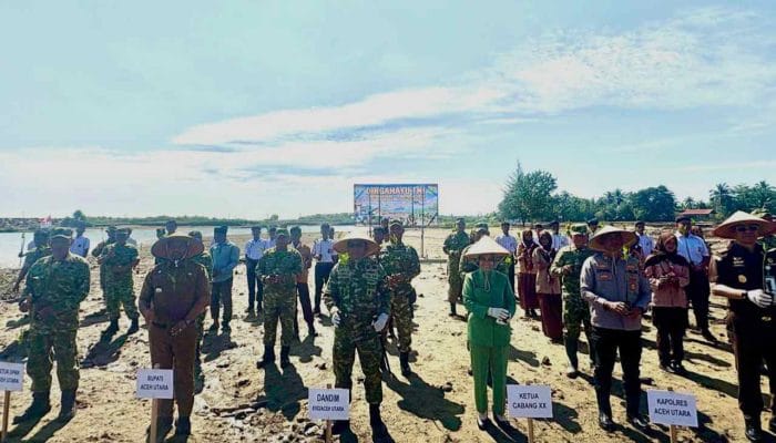 Kodim Aceh Utara Tanam 2.000 Mangrove di Pesisir Seunuddon