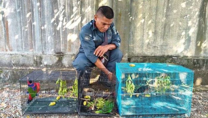 Kemenhut Tetapkan Tiga Tersangka Perdagangan Satwa Dilindungi