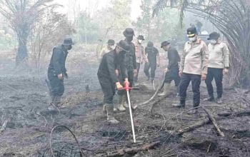 Polda Kalteng Uji Serbuk Singkong untuk Padamkan Bara Karhutla