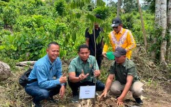 PHE NSO Restorasi Lahan Kritis untuk Habitat Gajah