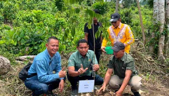 PHE NSO Restorasi Lahan Kritis untuk Habitat Gajah